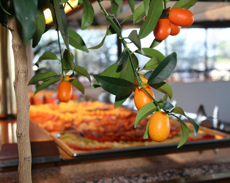 Hotel Marina Uno 리그나노 사비아도로 외부 사진